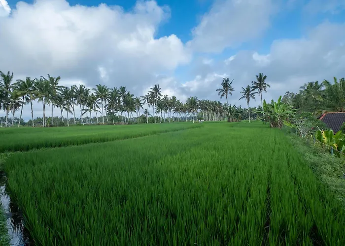 Bhuwana And Farm Ubud (Bali)