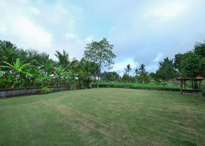 Bhuwana And Farm Hotel 4*
