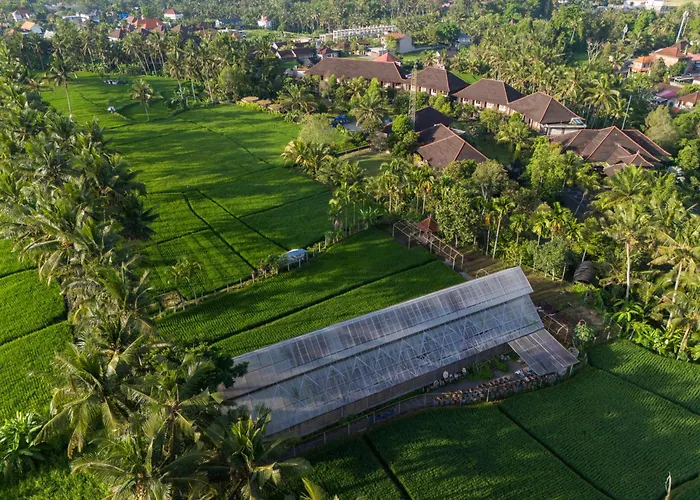 Hotel Bhuwana And Farm 4*