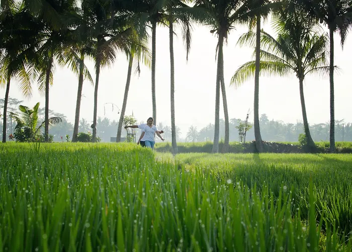 Bhuwana And Farm Hotel Ubud (Bali)