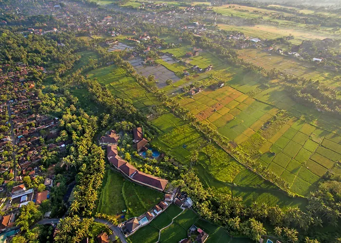 Bhuwana And Farm Hotel